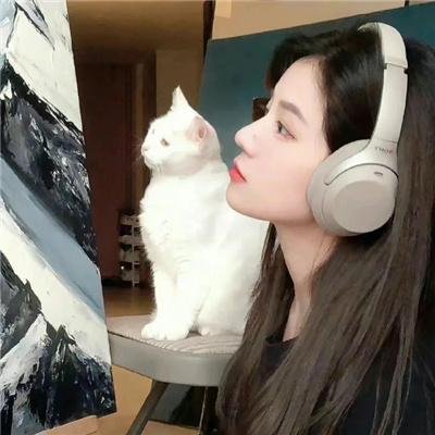 狗的审判